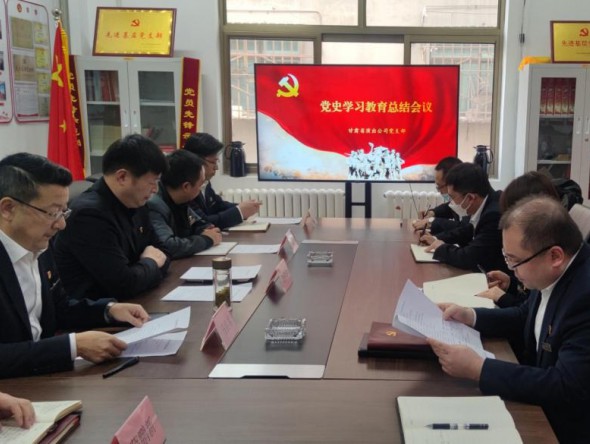 甘肃省演出公司党支部召开党史学习教育总结会议