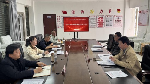 甘肃演艺集团敦煌艺术团党总支召开2025年度领导班子民主..