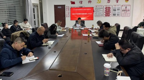 甘肃演艺集团敦煌艺术团党总支召开2026年度全面从严治党..